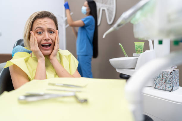 Best Broken or Chipped Tooth Repair in Holiday, FL